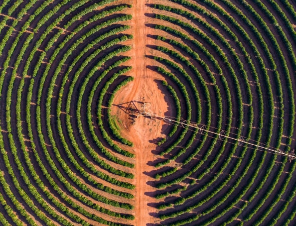 Vista dall'alto di un campo coltivato