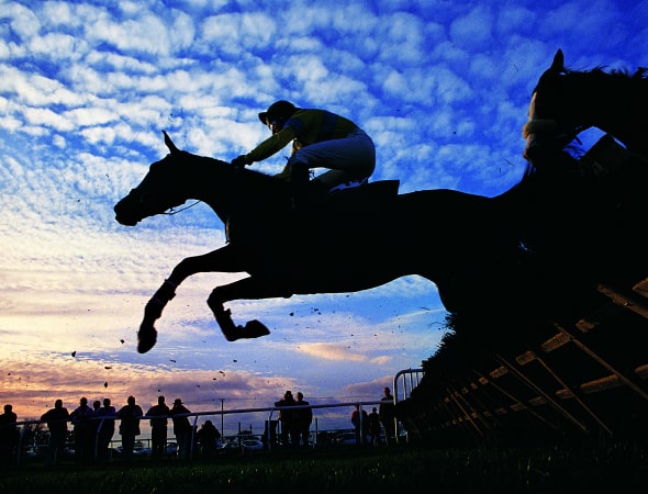 Horse leaping over a jump