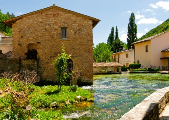 Houses immersed in greenery with a stream